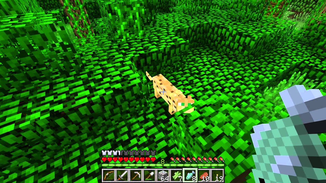 Lets Play Minecraft Episode 6 - YouTube