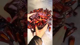 Famous What's HIDDEN Inside Pine Cones? Profile