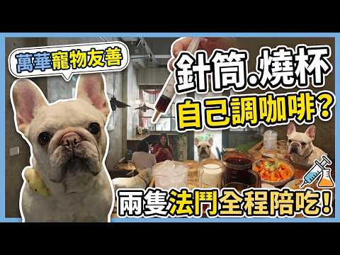 萬華這間餐廳太有哏！拿針筒、燒杯自己調咖啡？還有兩隻法鬥店長全程陪吃！ #毛起來玩 #燒杯咖啡藝廚