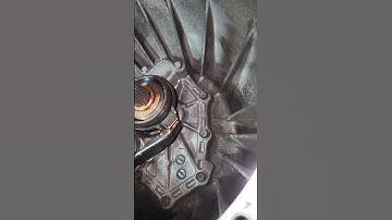 Horquilla y cojinete de embrague.