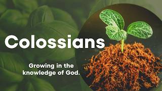 Colossians - Week 9