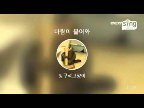 [everysing] 바람이 불어와