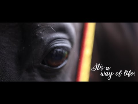 Chetak festival - It's a way of life - video from Trizone