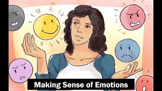 30 - SP - Making Sense of Emotions