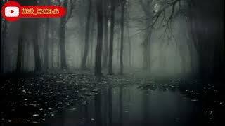 Kidung Sapu Jagad #kidungjawa #sapujagad