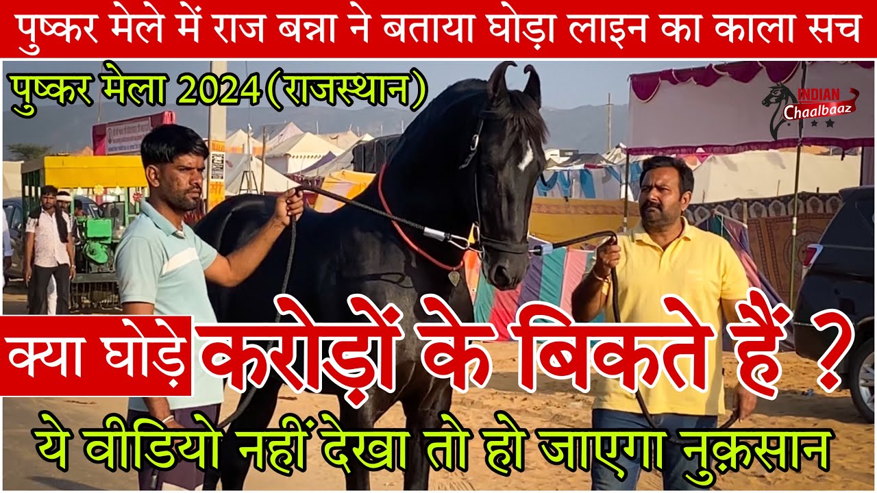 #PushkarMela2024 में राज बन्ना ने बताया घोड़ा लाइन का काला सच क्या घोड़े करोड़ों के बिकते हैं ?