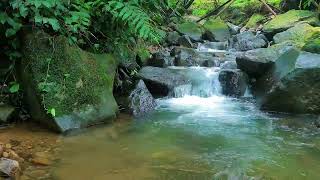 Calming River Water Sounds for Concentration, Study, and Relaxation Therapy
