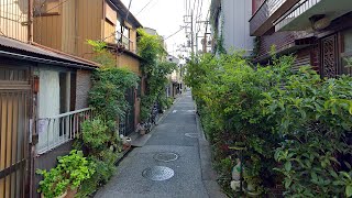 Wednesday Morning Tokyo Alleys in KitaSenju! | JAPAN LIVE STREAMS 2024