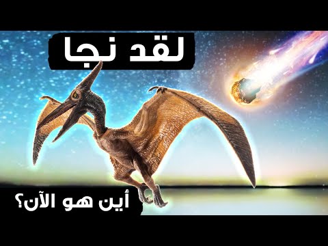 فيديو: إسقاط قرش من أعلى مبنى امباير ستيت ليس خطرا