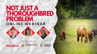 𝗡𝗼𝘁 𝗝𝘂𝘀𝘁 𝗮 𝗧𝗵𝗼𝗿𝗼𝘂𝗴𝗵𝗯𝗿𝗲𝗱 𝗣𝗿𝗼𝗯𝗹𝗲𝗺: 𝗧𝗵𝗲 𝗥𝗲𝗮𝗹 𝗖𝗮𝘂𝘀𝗲𝘀 𝗼𝗳 𝗚𝗮𝘀𝘁𝗿𝗶𝗰 𝗨𝗹𝗰𝗲𝗿𝘀 & 𝘄𝗵𝘆 𝘁𝗵𝗲𝘆 𝗺𝗮𝘁𝘁𝗲𝗿 𝗳𝗼𝗿 𝗲𝘃𝗲𝗿𝘆 𝗵𝗼𝗿𝘀𝗲