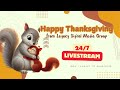 Happy Thanksgiving