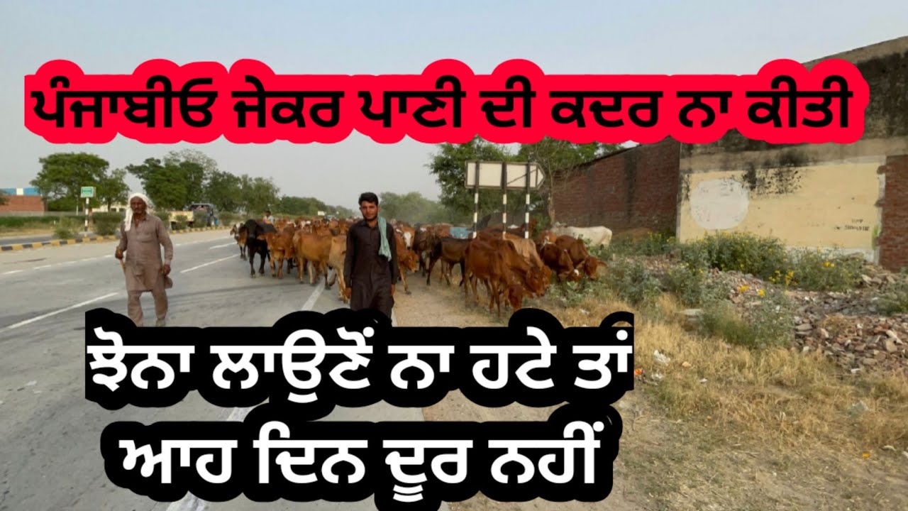 ਆਹ ਦੇਖਲੋ ਪਾਣੀ ਦੀ ਏਨੀ ਕਮੀ ਆ ਵੀ ਪਸ਼ੂਆਂ ਸਮੇਤ 2 ਸਟੇਟਾਂ ਪਾਰ ਕਰਕੇ ਪੰਜਾਬ ਚ ਲਿਆਏ ਜਾਨਵਰਾਂ ਨੂੰ।