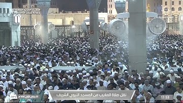 سورة الزلزلة والفيل . مغرب الخميس ٥ جمادى الأولى ١٤٤٦ . الشيخ عبدالله القرافي