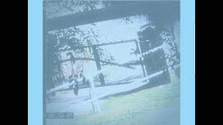 HOME PICTURES | User9142 Videos 