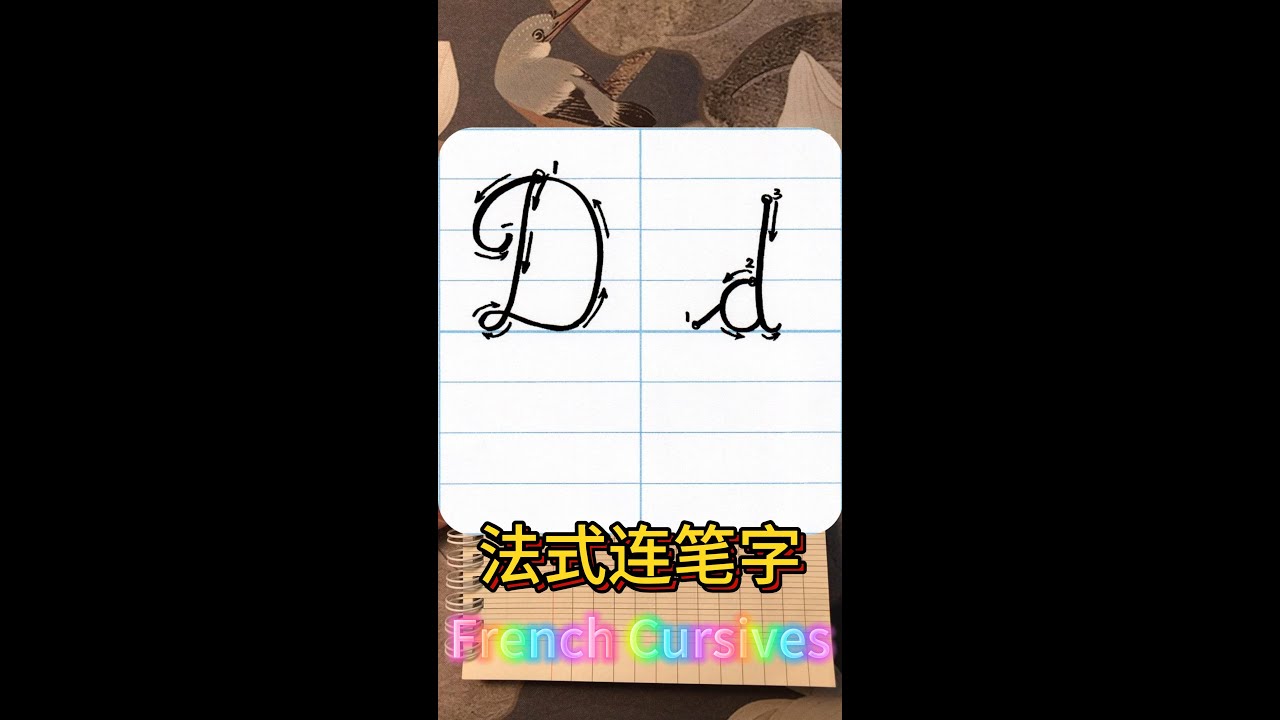 法式连笔字字母Dd / French Cursives Dd / 沉浸式练字 / 英文花体 - YouTube