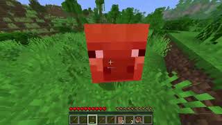 minecraft java test stream setup
