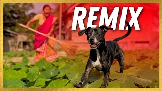 Kochu Bone Hege Gelo Kalo Kukure (Cirbal Remix) | DJay Saptak | Circuit x Tribal Bengali Remix