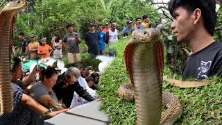 PAT*Y ANG KANILANG PAMANGKIN SA MGA T*KLAW  NG COBRA