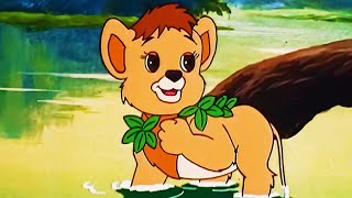 Simba - The King Lion | سيمبا - الأسد الملك | حلقة كاملة 24 | رسوم متحركة للأطفال باللغة العربية