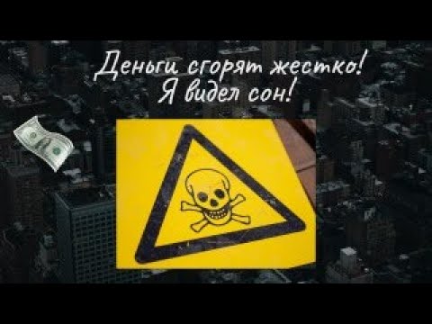 Видео: Кот Манул - Деньги сгорят жестко! Я видел сон!