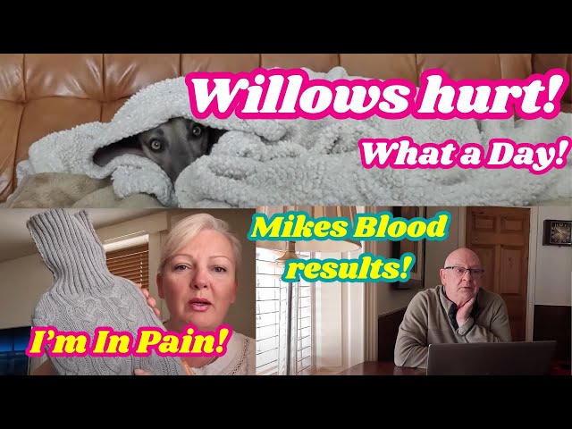 What a DAY! Poor Willow needs vets, I've hurt my neck and Mike hears his blood results class=