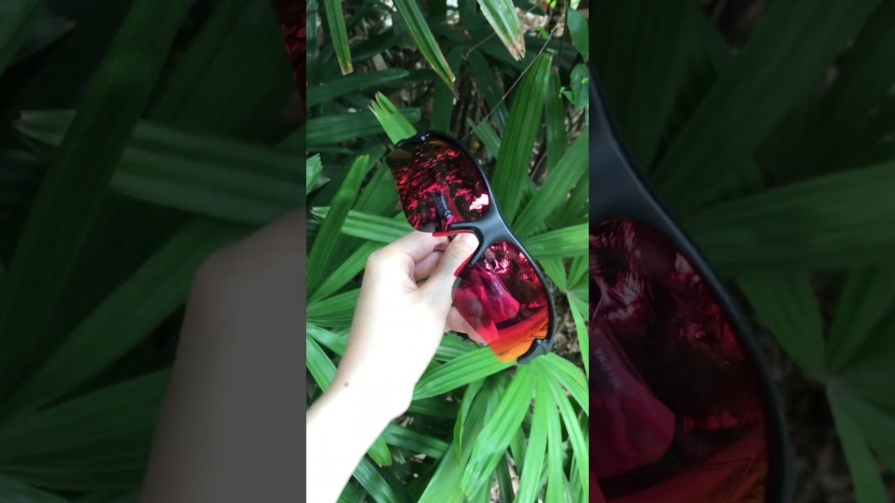 Sports Sunglasses: Conquer Cycling, Fishing & Running in Style 