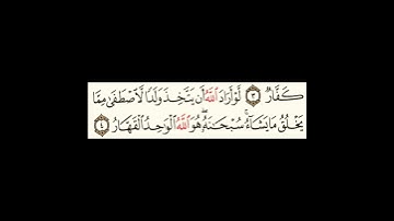 سورة الزمر آية٤ #سورةالتكاثر #سورةالقارعة #سورةالعاديات #سورةالزلزلة #سورةالبينة #سورةالقدر