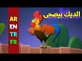 الديك بيصحى باللغات الأربع العربية الإنجليزية التركية الفرنسية قناة بلبل  