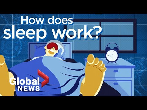 How sleep works: The reasons why we can&rsquo;t live without it