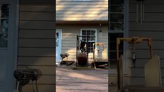 He Felt Like Running So I Let Him Run..