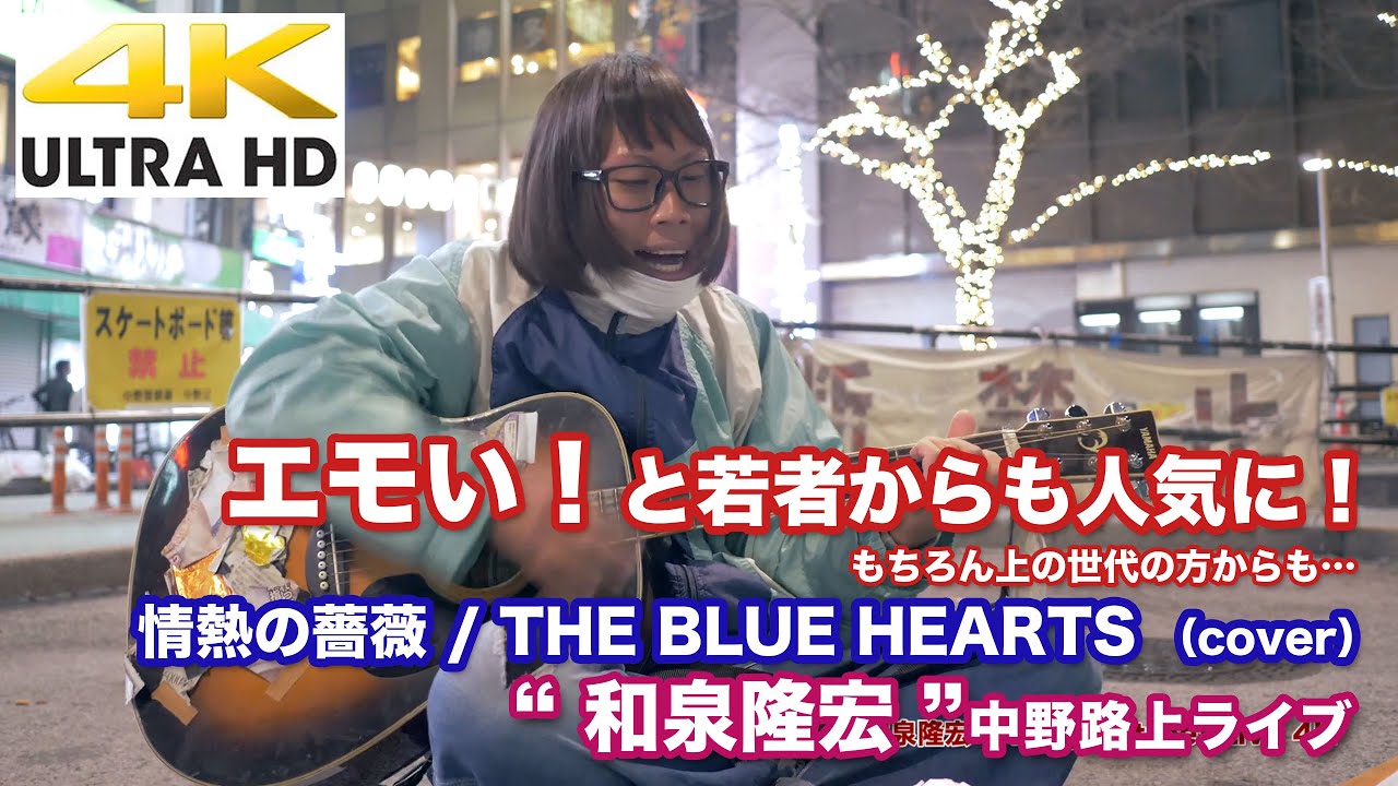 4K】エモい！と若者からも人気に！ 情熱の薔薇 / THE BLUE HEARTS