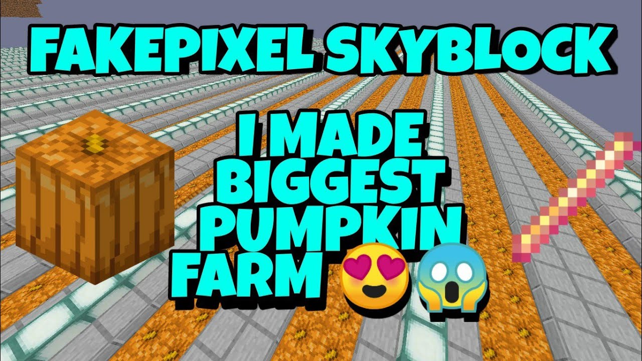i-made-biggest-pumpkin-farm-in-fakepixel-skyblock-sad-news-about