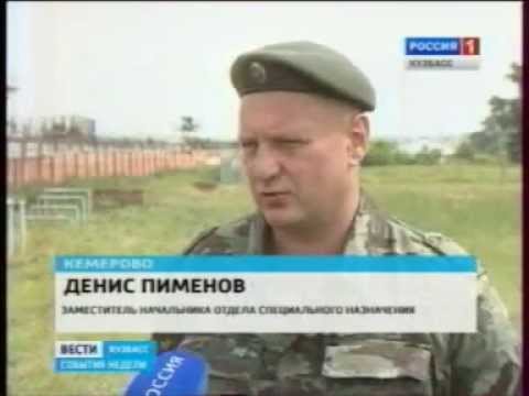 Оливковый берет