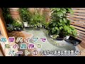 【単管パイプで池小屋作り】①池作り完成！金魚・川魚！