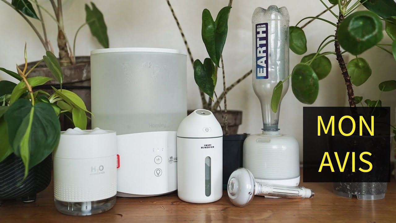 La Vapeur De L'humidificateur Humidifie L'air Sec Entouré De Plantes  D'intérieur D'intérieur Soins Des Plantes De Jardin