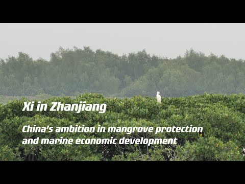 Xi visits zhanjiang to see construction of important development for coastal economic belt
