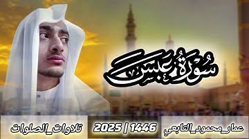 سورة عبس|عمار محمود التابعي 