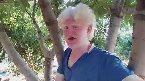 تلاوة قصيرة من سورة الأنفال للقارئ عامر جبو