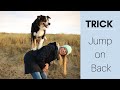 How To: Teach your Dog to Jump on your Back