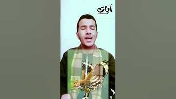 ذكر الهدهد الآية 21 سورة النمل القارئ بلال سيف