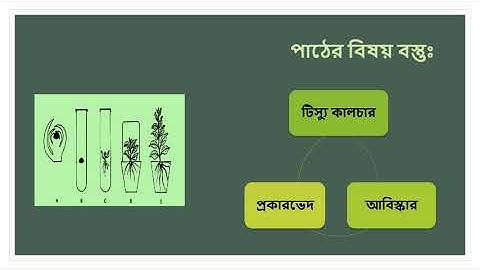 Class: XII-XII,Biology 1st paper,(Lec:10),Chapter:11(Part-03),Shayla Parvin