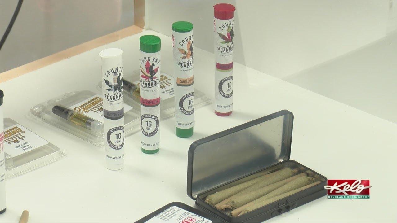 Native Nations Cannabis opens in Flandreau YouTube
