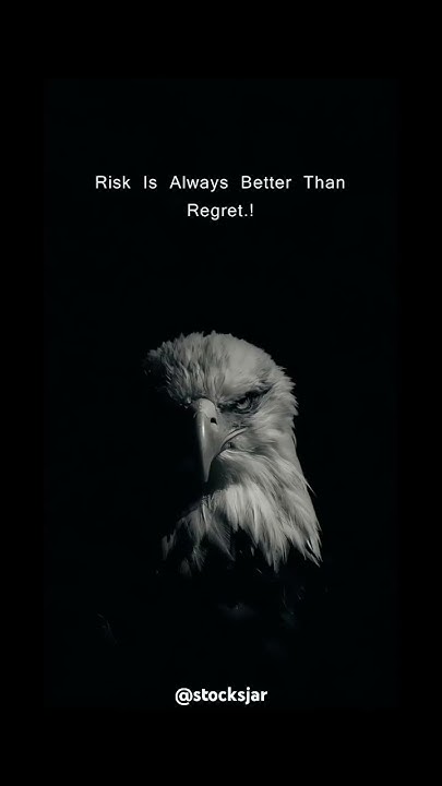 risk-is-always-better-than-regret-subscribe-stocksjar852-investor