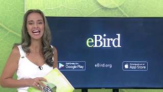 E-BIRD, LA APP PARA AMANTES DE LAS AVES screenshot 5