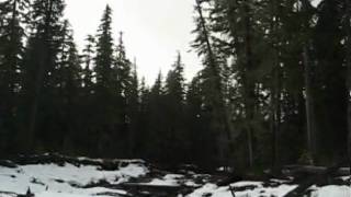 Longmire to Indian Henry's Hunting Ground, MRNP