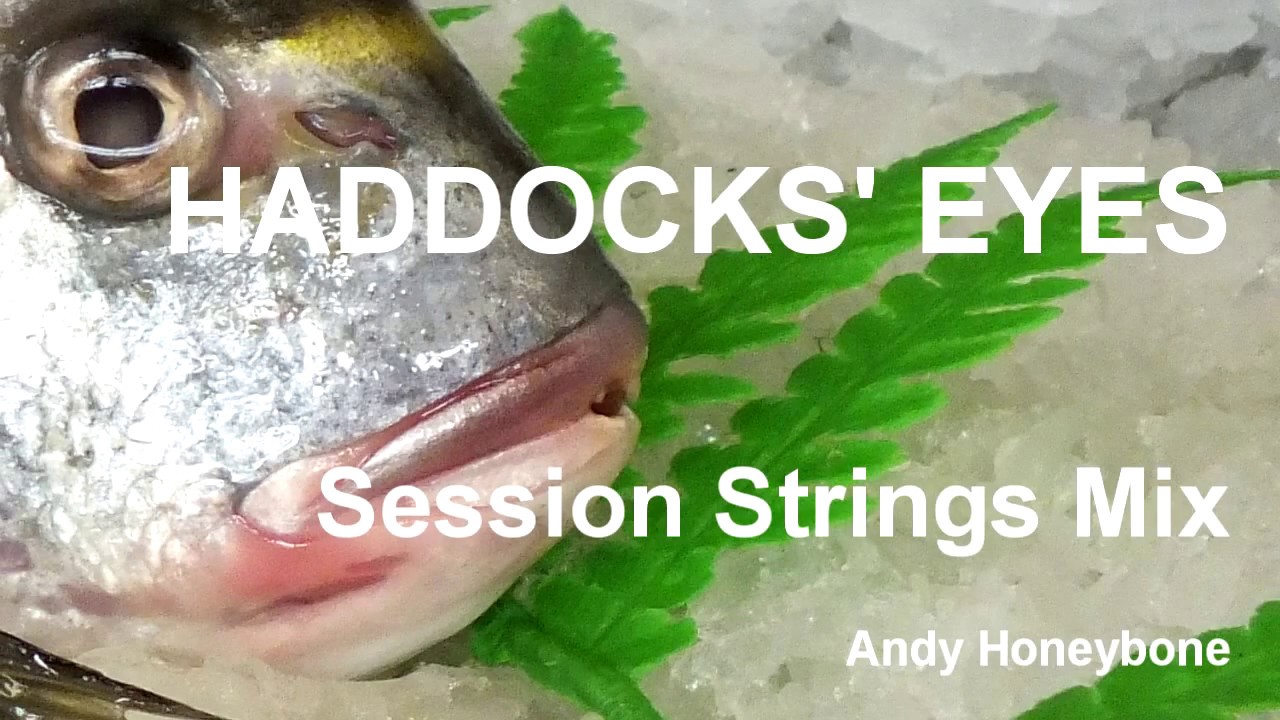 Haddocks' Eyes Session Strings Arrangement of an Original Bass Solo