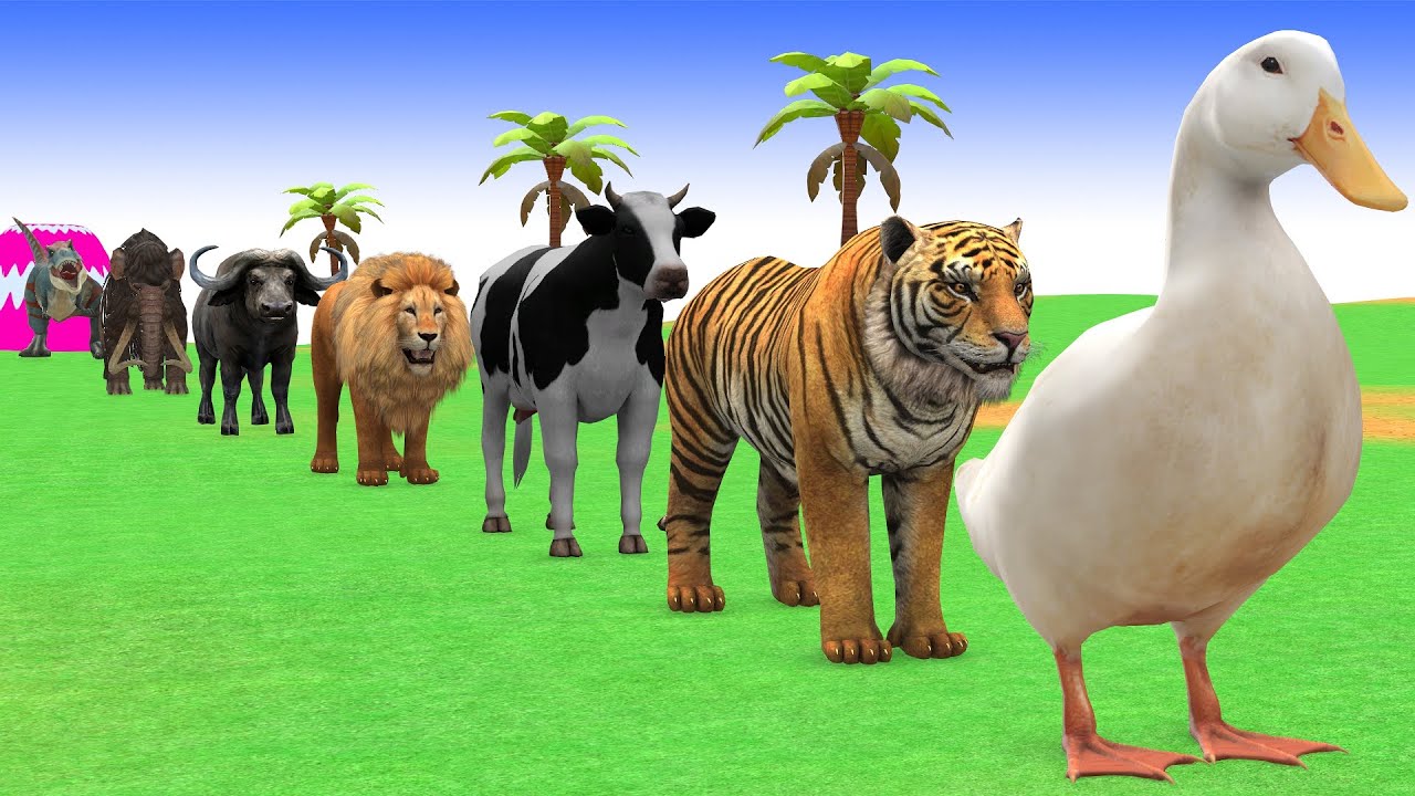 Long Slide Game with Cow Elephant Gorilla Hippopotamus Tiger 3d Animal Game Funny 3d Animals
