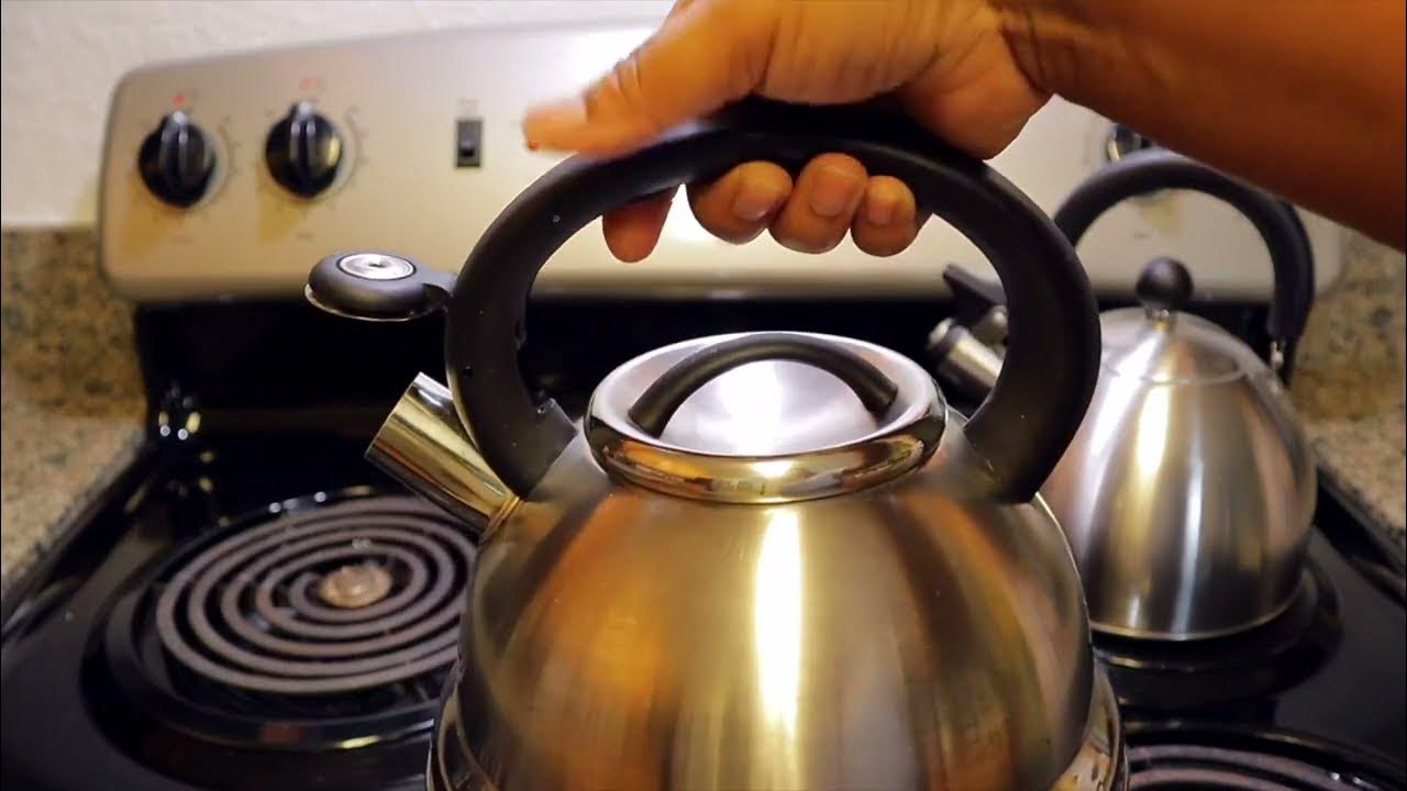 Primula Stewart Whistling Stovetop Tea Kettle Vs Mr Coffee Flintshire Stainless Steel Whistling