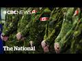 Military superiors must disclose relationships with subordinates