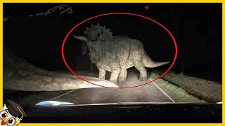 20 Dinosaurs Caught on Camera in Real Life